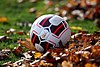 Austria national under-21 football team - Teamcamp November 2015 (076).jpg