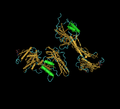Ternary Complex Of Bmp-2 Bound To Bmpr-Ia-Ecd And Actrii-Ecd