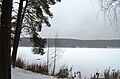 Balžio ežeras žiemą