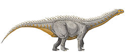 En illustraturder tolkning af hvordan en Barapasaurus kan have set ud.