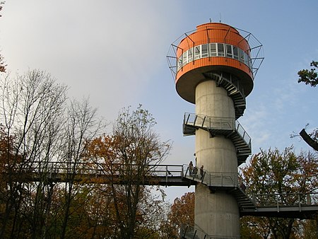 Baumkronenpfad Hainich Aussichtsturm