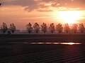 Sunrise in the Netherlands