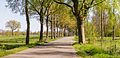 * Nomination Bekhofweg at the height of nature Beekdal Linde Bekhofplas in the Netherlands. --Famberhorst 05:04, 19 May 2016 (UTC) * Promotion  Support Good quality. --Johann Jaritz 05:47, 19 May 2016 (UTC)