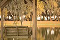 Swing overlooking lake at JUFL.