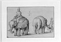 Bernaert de Rijckere - Two Studies of Elephants and their Keepers.jpg