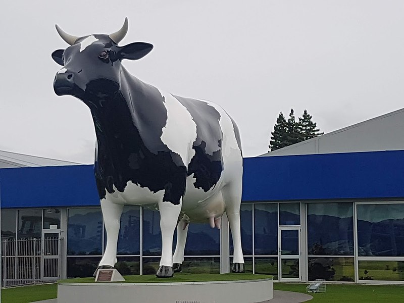 File:Big Cow at Morrinsville.jpg