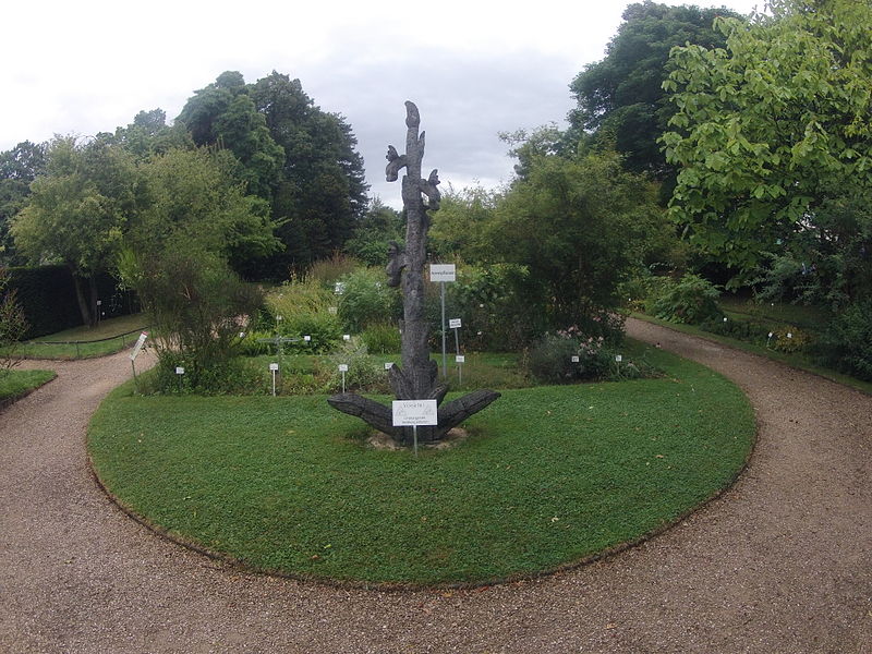 File:Bonn 2013 Gardens 7.JPG