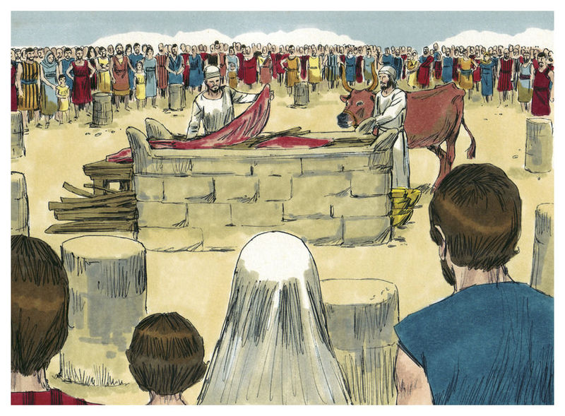 File:Book of Leviticus Chapter 1-1 (Bible Illustrations by Sweet Media).jpg