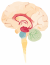 Brain logo.svg