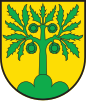 Coat of arms of Castaneda