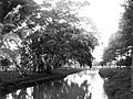 Bridge over the Tanah Abang Creek, Batavia. 1890-1920