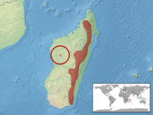 Calumma crypticum Distribution.png