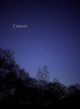 Constellation du Cancer.