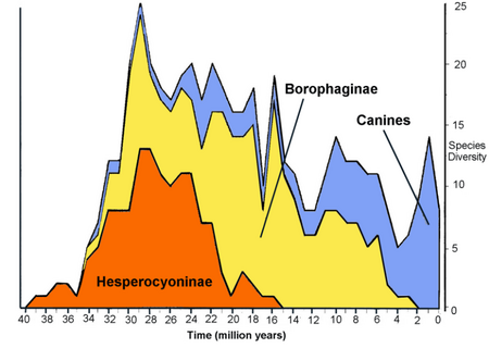 Fail:Canidae_Species_Divesity.png