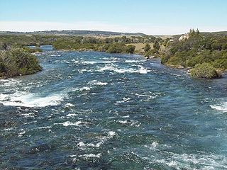 <span class="mw-page-title-main">Palena River</span> River in Argentina, Chile