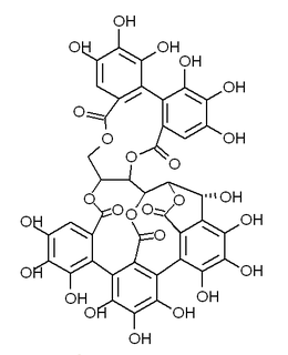 Castalagin chemical compound
