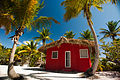 Catalina Island, La Romana, Dominican Republic. A typical bungalow nearby cost line, shaded with palm trees (1).jpg