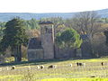 Chèvres devant la chapelle