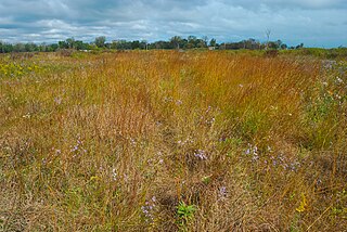 <span class="mw-page-title-main">Chiwaukee Prairie</span> Prairie in Wisconsin, United States