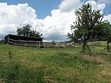 Čeština: Koně v Chloumku (obec Úbislavice). Okres Jičín, Česká republika. English: Horses in Chloumek village (Úbislavice municipality, Jičín District, Czech Republic.