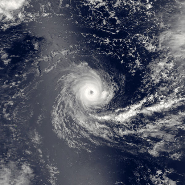 1981–82 Australian region cyclone season