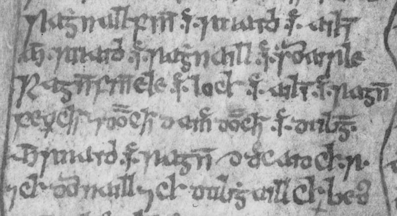File:Clann Ruaidhri (National Library of Scotland Advocates' MS 72.1.1, folio 1v) 1.jpg