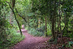 Coetiroedd Nant Fawr Woodlands, Cardiff 03