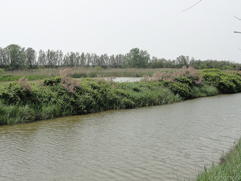 File:Comacchio, Province of Ferrara, Italy - panoramio (3).jpg