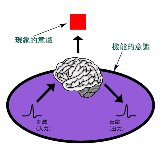 意識のハード プロブレム Wikiwand