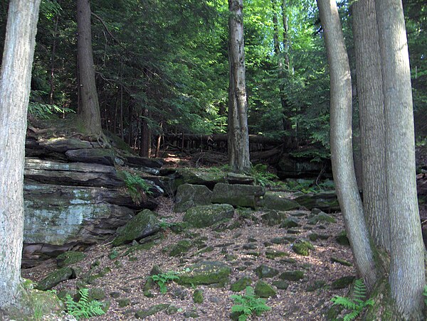 Bedrock outcrops, such as this one, can be found throughout the park