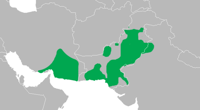 Description de l'image Dendrocopos assimilis distribution map.png.