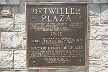Henry Detwiller (1795–1887) Mediziner, Chirurg, Homöopath und Botaniker
