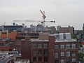 Distant construction cranes on Toronto's skyline, 2015 07 08 (13).JPG - panoramio.jpg