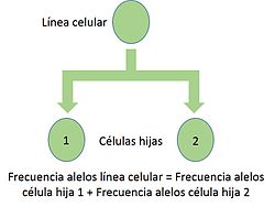 División Celular: Variantes de división celular, Tipos de reproducción asociados a la división celular, Procesos de división celular