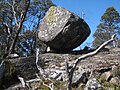 Central Plateau of Tasmania, Australia