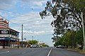 English: Bolaro Street (Castlereagh Highway), the main street of Dunedoo, New South Wales