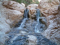 נחל בוקק: מעיינות, זיהום, לקריאה נוספת