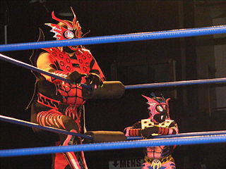 <span class="mw-page-title-main">El Alebrije</span> Mexican professional wrestler