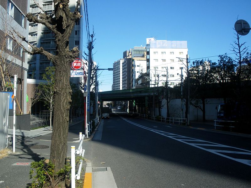 File:Elevated bridge between okubo and higashinakano.JPG