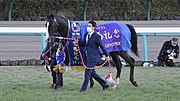 第67回有馬記念のサムネイル