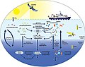 Image 13 Export processes in the Ocean from remote sensing (from Marine prokaryotes)