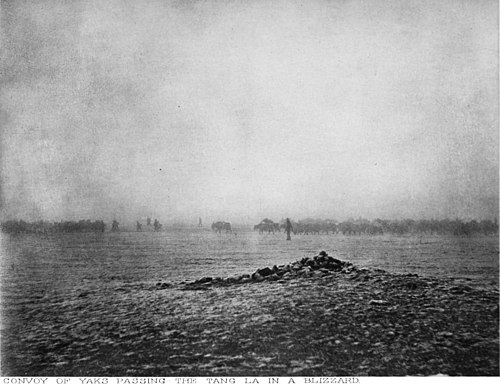 CONVOY OF YAKS PASSING THE TANG LA IN A BLIZZARD.