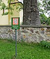 Čeština: Památný strom - jasan ztepilý (Fraxinus excelsior) na návsi vedle kostela - Kytín v okrese Příbram English: Famous tree - Fraxinus excelsior, near church in Kytín in Příbram District