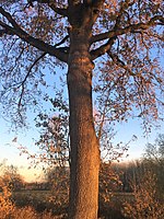 Bosco Grande nature reserve