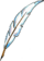 Feather narrow.png
