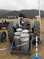 Ferguson tractor with milk churns on trailer - geograph.org.uk - 1572406.jpg