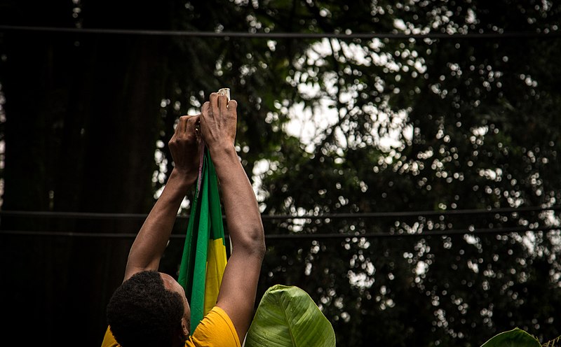 File:Flag day.jpg