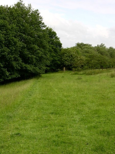 File:Footpath Two Brooks valley - geograph.org.uk - 470368.jpg