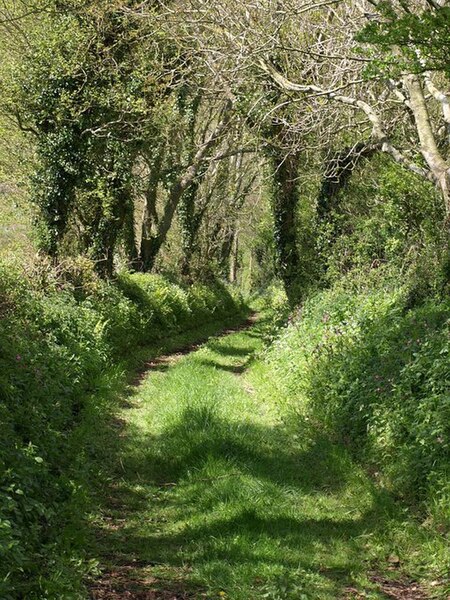 File:Footpath to Lower Gabwell - geograph.org.uk - 786530.jpg