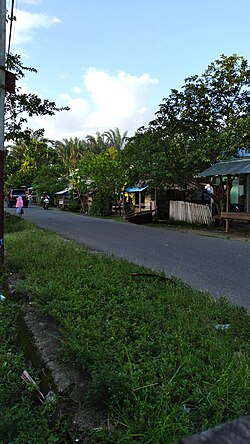 Jalan Raya Dusun Waipaliti, Desa Hitumessing